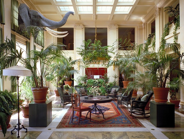 indoor