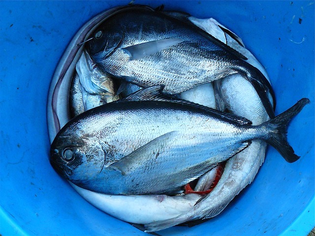 seafood